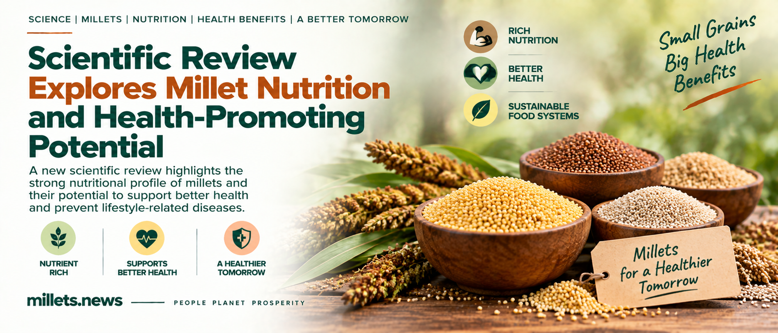 Scientific Review Explores Millet Nutrition and Health-Promoting Potential