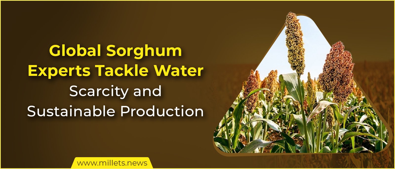 Global Sorghum Experts Tackle Water Scarcity and Sustainable Production