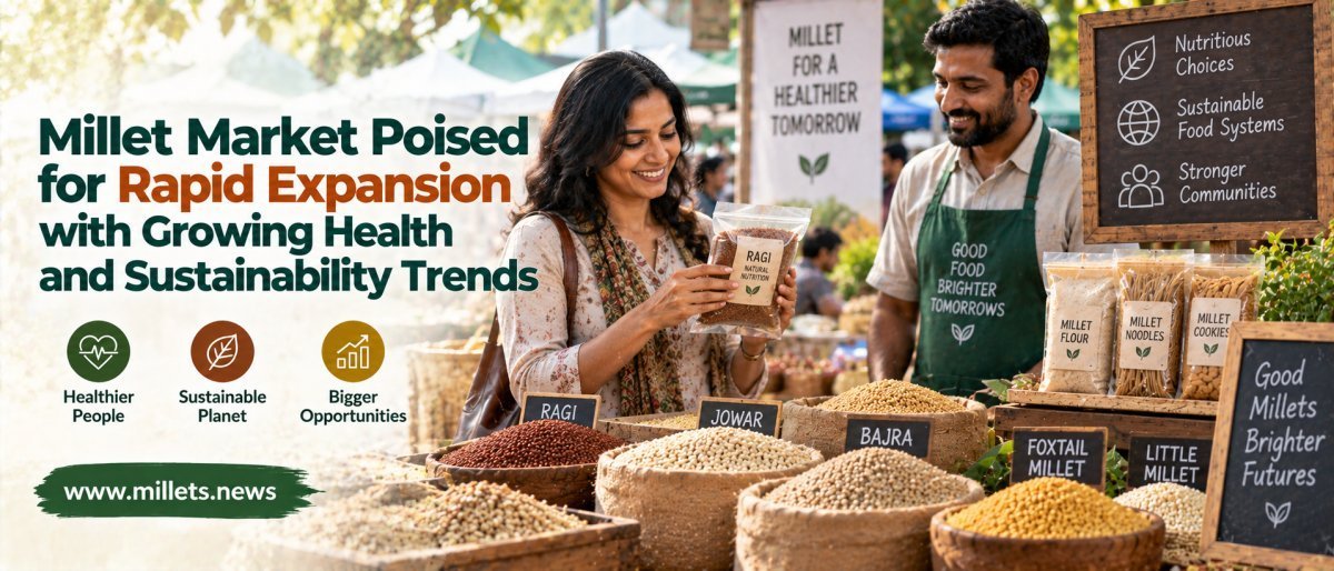 Millet Market Poised for Rapid Expansion with Growing Health and Sustainability Trends