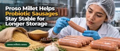 Proso Millet Helps Probiotic Sausages Stay Stable for Longer Storage