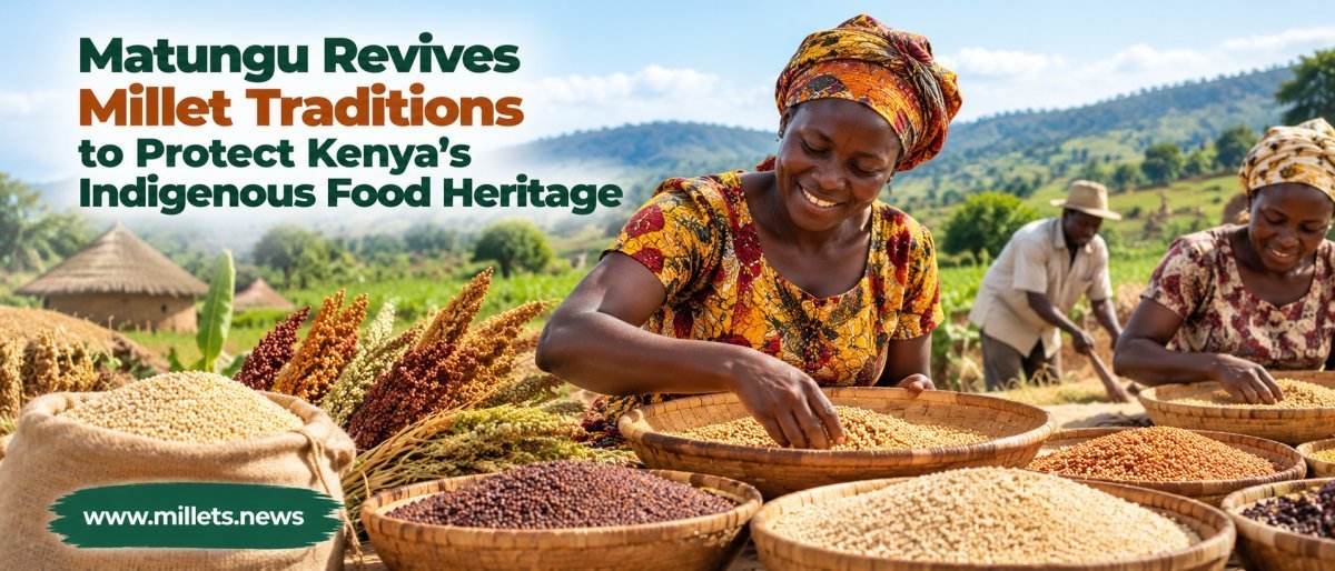 Matungu Revives Millet Traditions to Protect Kenya’s Indigenous Food Heritage