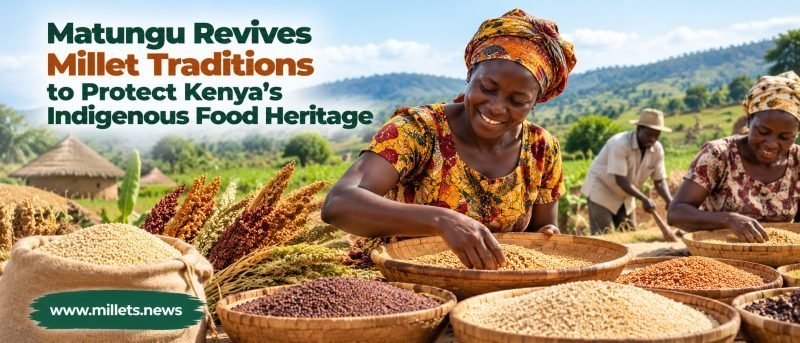 Matungu Revives Millet Traditions to Protect Kenya’s Indigenous Food Heritage
