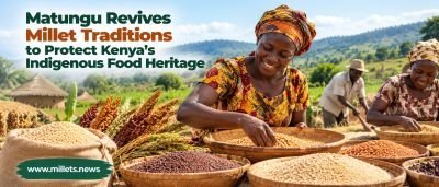 Matungu Revives Millet Traditions to Protect Kenya’s Indigenous Food Heritage