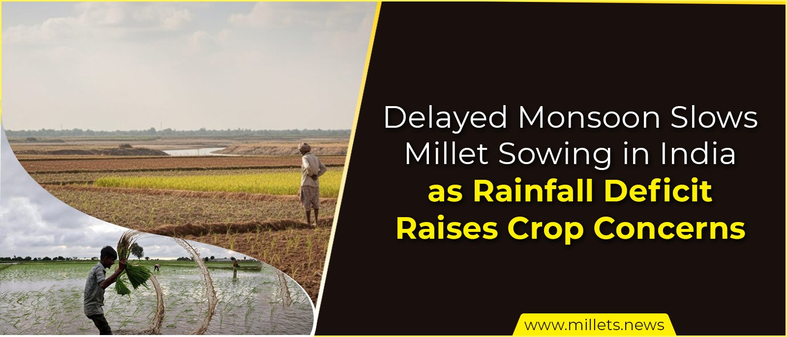 Delayed Monsoon Slows Millet Sowing in India as Rainfall Deficit Raises Crop Concerns