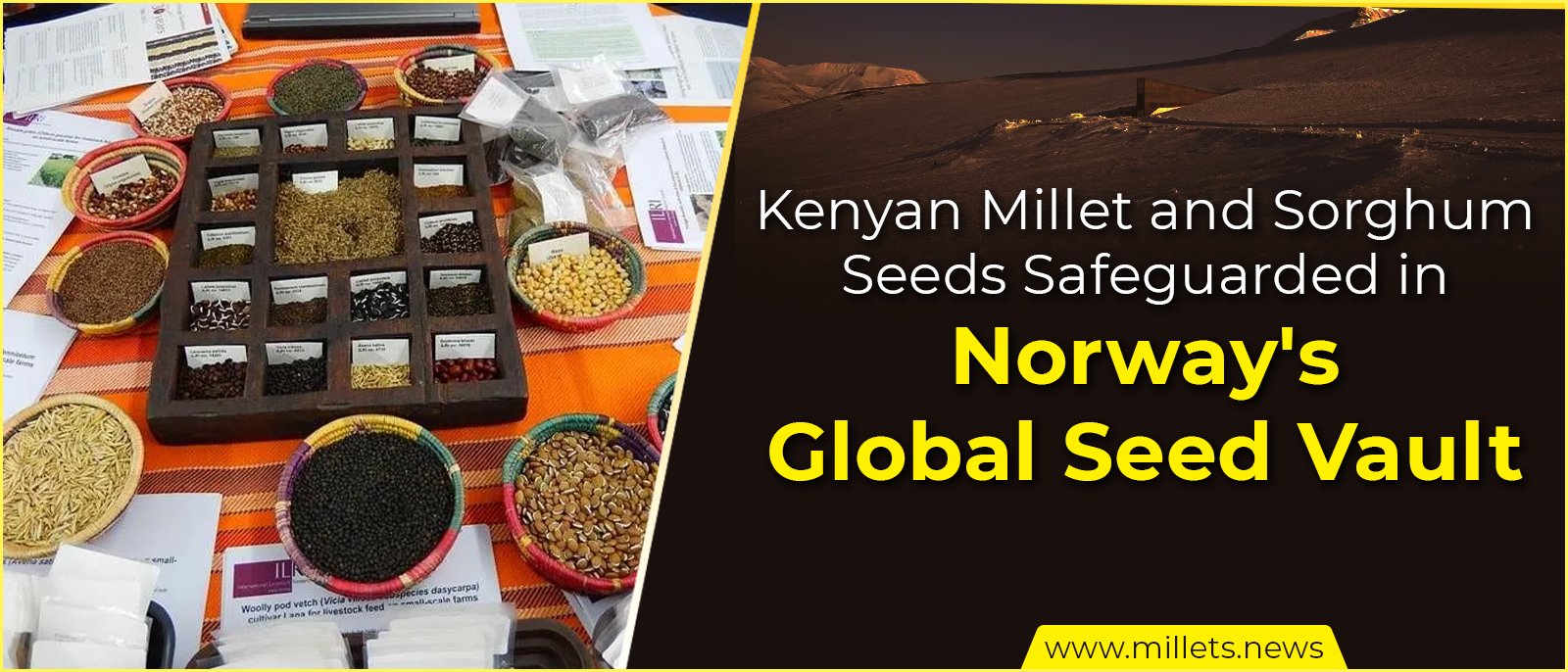 Kenyan Millet and Sorghum Seeds Safeguarded in Norway's Global Seed Vault