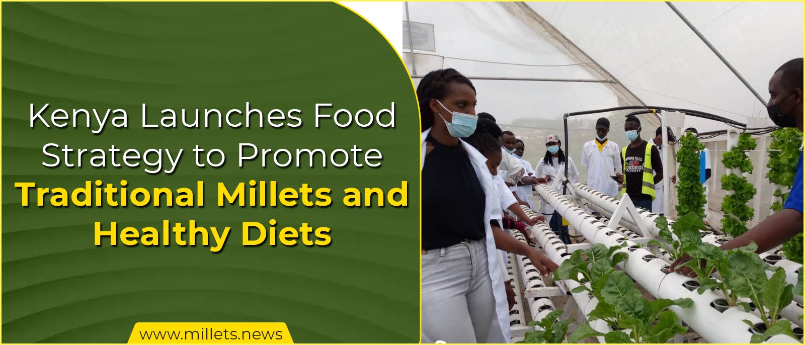 Kenya Launches Food Strategy to Promote Traditional Millets and Healthy Diets