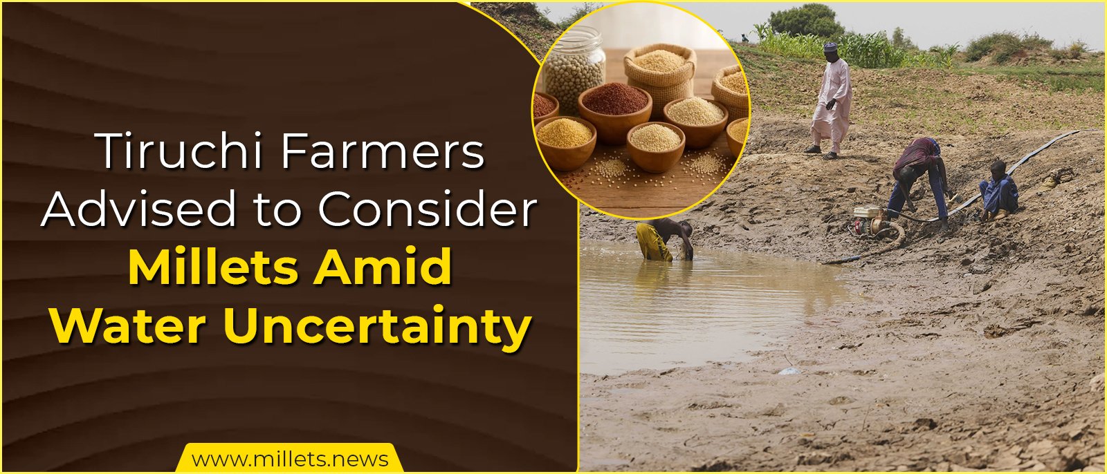 Tiruchi Farmers Advised to Consider Millets Amid Water Uncertainty
