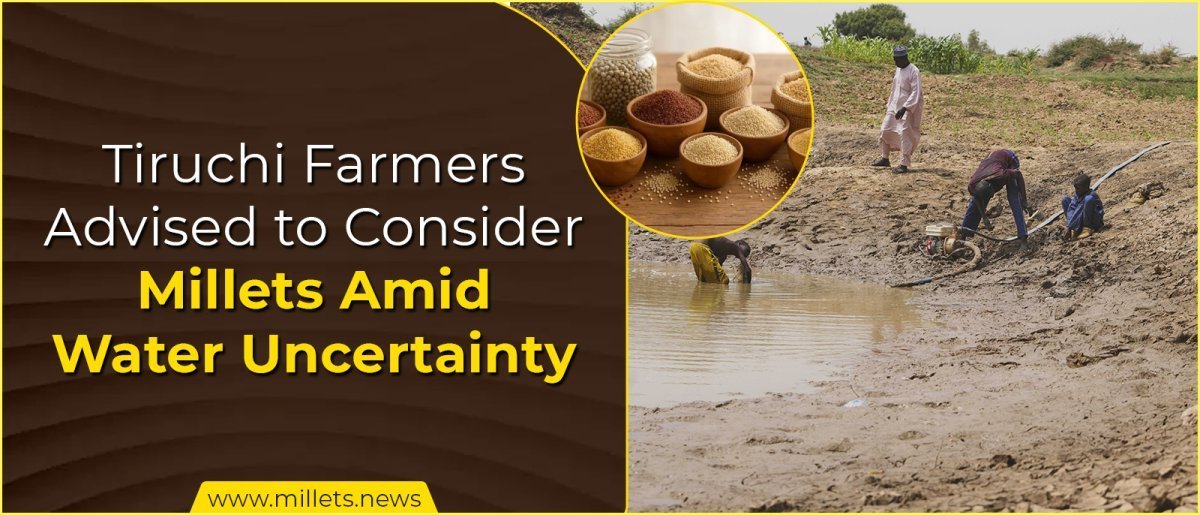 Tiruchi Farmers Advised to Consider Millets Amid Water Uncertainty