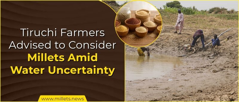 Tiruchi Farmers Advised to Consider Millets Amid Water Uncertainty