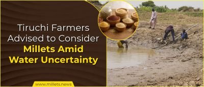 Tiruchi Farmers Advised to Consider Millets Amid Water Uncertainty