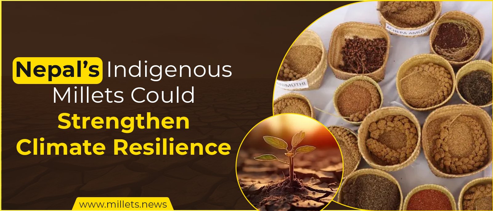 Nepal’s Indigenous Millets Could Strengthen Climate Resilience