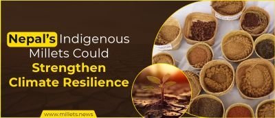 Nepal’s Indigenous Millets Could Strengthen Climate Resilience