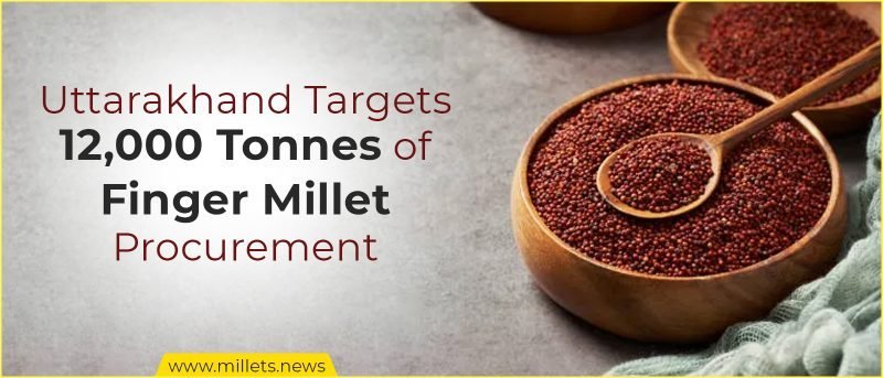 Uttarakhand Targets 12,000 Tonnes of Finger Millet Procurement
