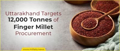 Uttarakhand Targets 12,000 Tonnes of Finger Millet Procurement