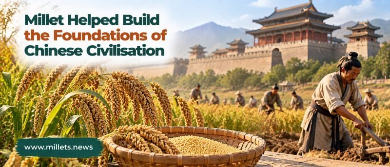 Millet Helped Build the Foundations of Chinese Civilisation