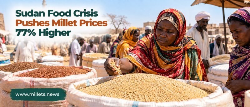 Sudan Food Crisis Pushes Millet Prices 77% Higher