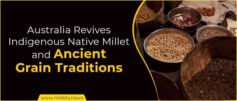 Australia Revives Indigenous Native Millet and Ancient Grain Traditions