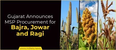 Gujarat Announces MSP Procurement for Bajra, Jowar and Ragi