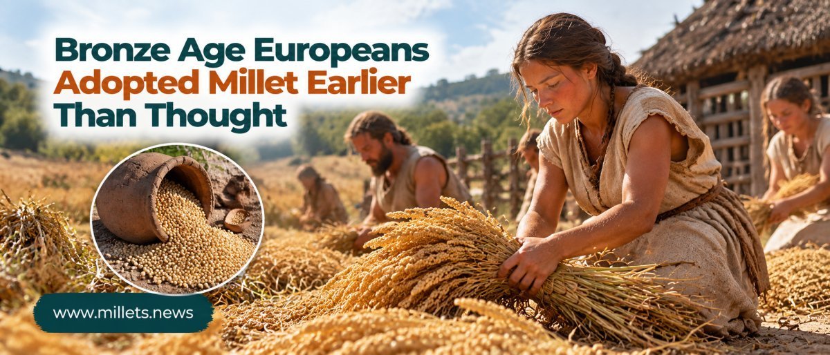 Bronze Age Europeans Adopted Millet Earlier Than Previously Thought