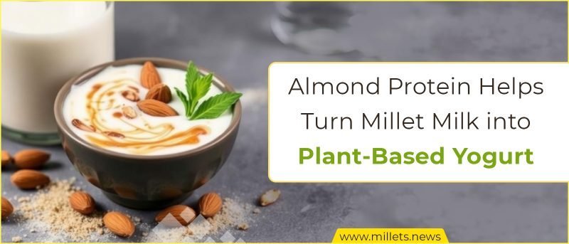 Almond Protein Helps Turn Millet Milk into Plant-Based Yogurt