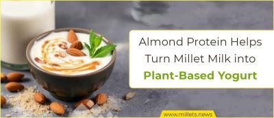 Almond Protein Helps Turn Millet Milk into Plant-Based Yogurt