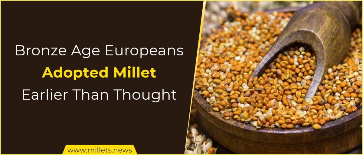 Bronze Age Europeans Adopted Millet Earlier Than Previously Thought