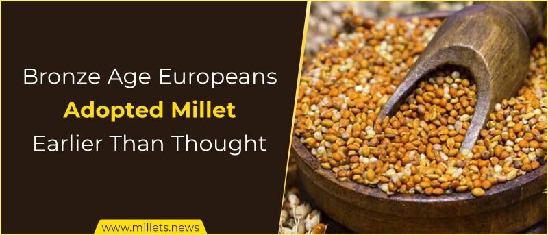 Bronze Age Europeans Adopted Millet Earlier Than Previously Thought