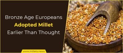 Bronze Age Europeans Adopted Millet Earlier Than Previously Thought