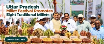 Uttar Pradesh Millet Festival Promotes Eight Traditional Millets