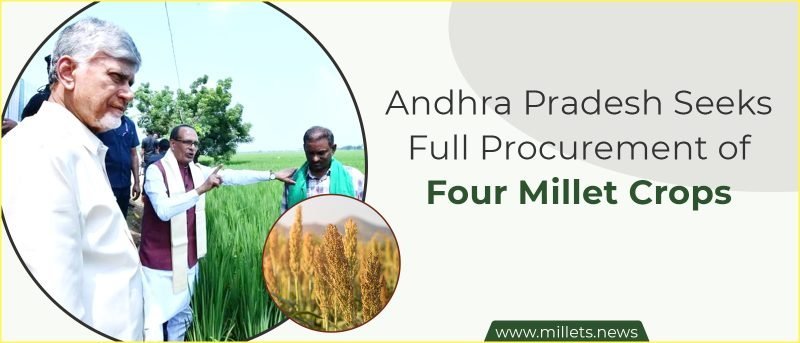 Andhra Pradesh Seeks Full Procurement of Four Millet Crops