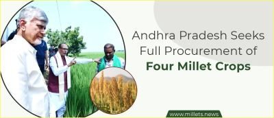 Andhra Pradesh Seeks Full Procurement of Four Millet Crops