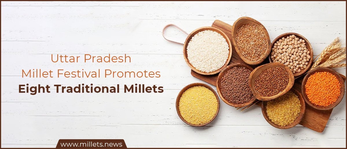Uttar Pradesh Millet Festival Promotes Eight Traditional Millets