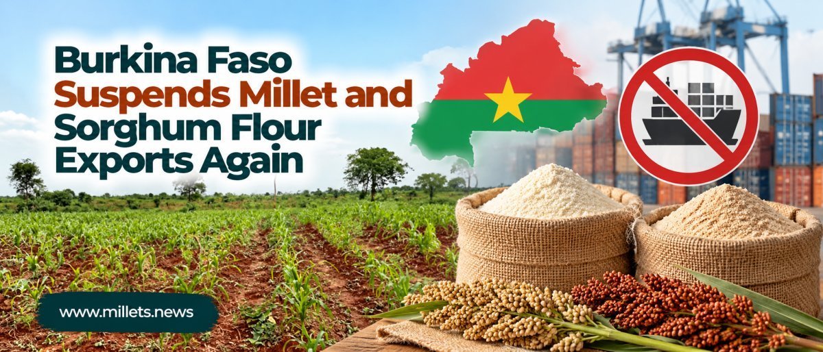 Burkina Faso Suspends Millet and Sorghum Flour Exports Again