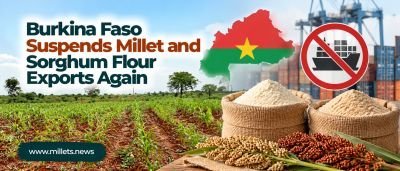 Burkina Faso Suspends Millet and Sorghum Flour Exports Again