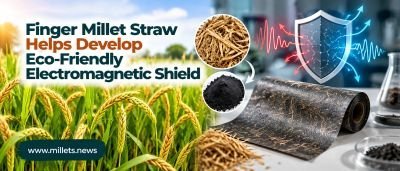 Finger Millet Straw Helps Develop Eco-Friendly Electromagnetic Shield