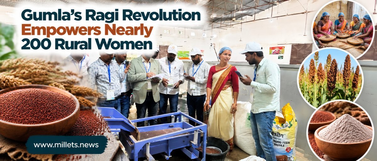 Gumla's Ragi Revolution Empowers Nearly 200 Rural Women