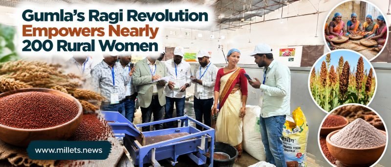 Gumla's Ragi Revolution Empowers Nearly 200 Rural Women