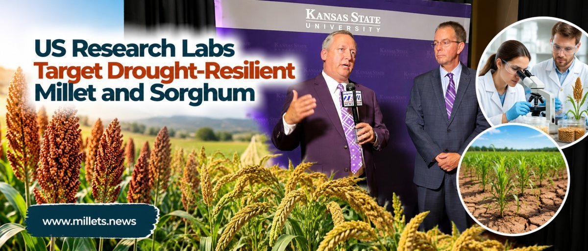 US Research Labs Target Drought-Resilient Millet and Sorghum