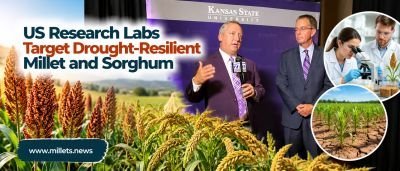 US Research Labs Target Drought-Resilient Millet and Sorghum